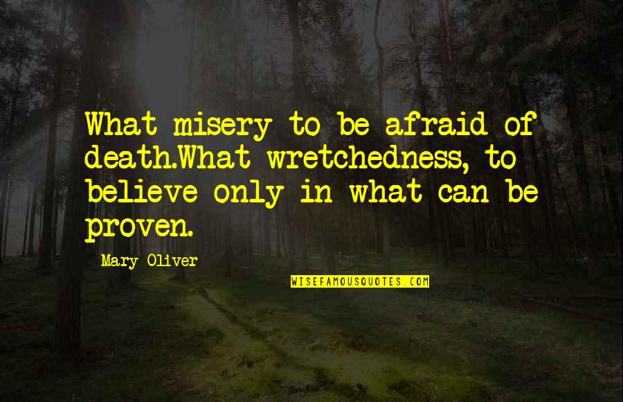Being Innocent And Young Quotes By Mary Oliver: What misery to be afraid of death.What wretchedness, Being Innocent And Young Quotes By Mary Oliver: What misery to be afraid of death.What wretchedness,