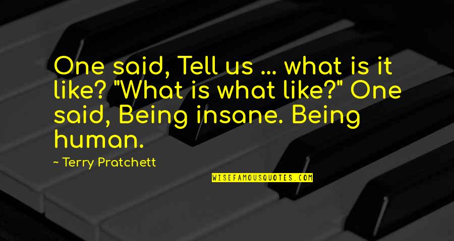 Being Insane Quotes By Terry Pratchett: One said, Tell us ... what is it