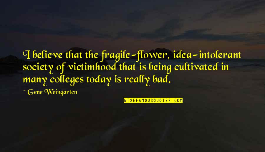 Being Intolerant Quotes By Gene Weingarten: I believe that the fragile-flower, idea-intolerant society of
