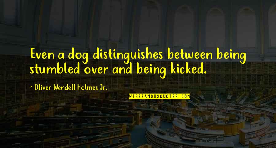 Being Kicked Out Quotes By Oliver Wendell Holmes Jr.: Even a dog distinguishes between being stumbled over