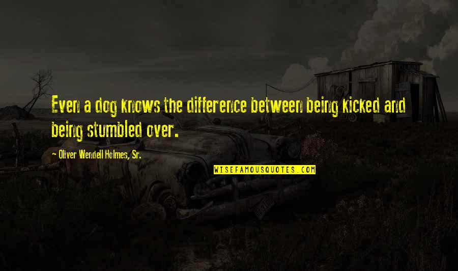 Being Kicked Out Quotes By Oliver Wendell Holmes, Sr.: Even a dog knows the difference between being