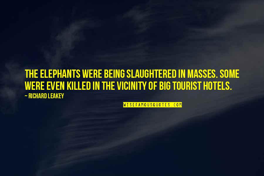 Being Killed Quotes By Richard Leakey: The elephants were being slaughtered in masses. Some Being Killed Quotes By Richard Leakey: The elephants were being slaughtered in masses. Some