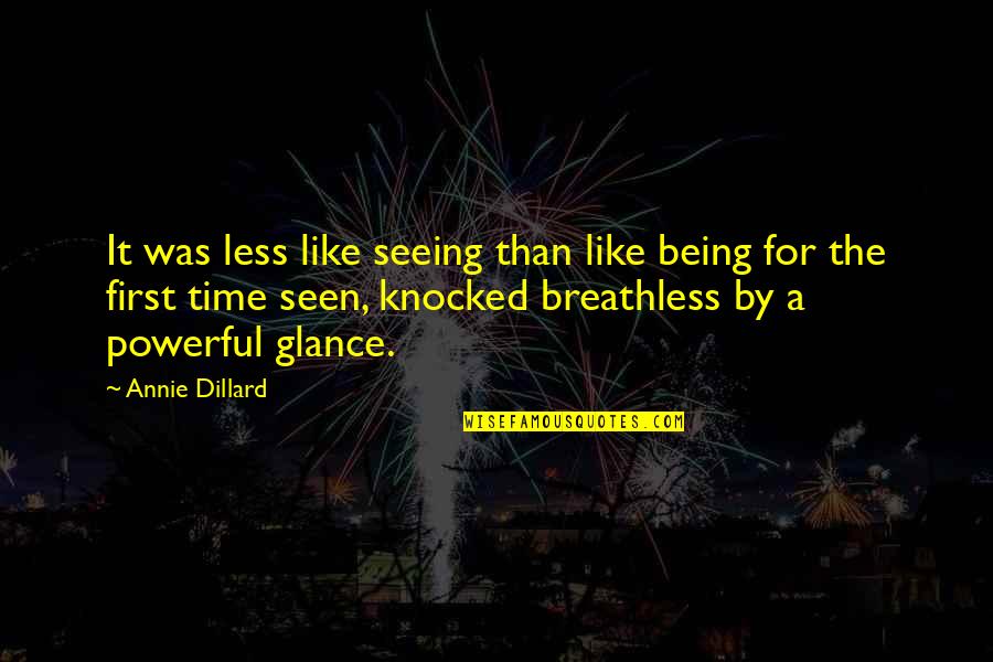 Being Knocked Out Quotes By Annie Dillard: It was less like seeing than like being