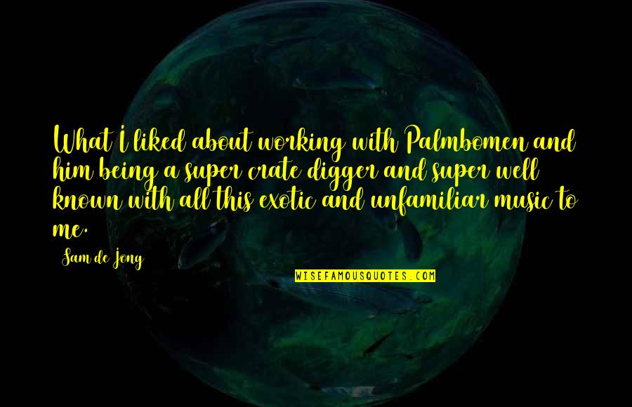 Being Known Quotes By Sam De Jong: What I liked about working with Palmbomen and