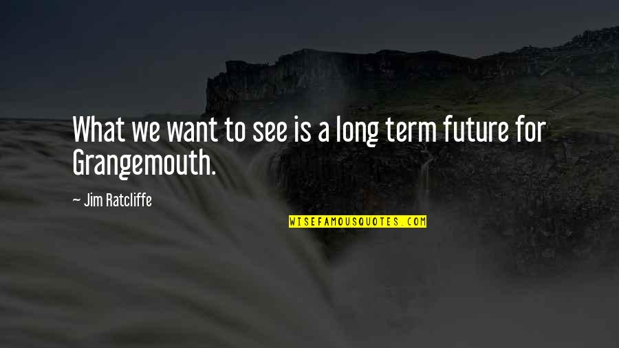 Being Leery Quotes By Jim Ratcliffe: What we want to see is a long Being Leery Quotes By Jim Ratcliffe: What we want to see is a long