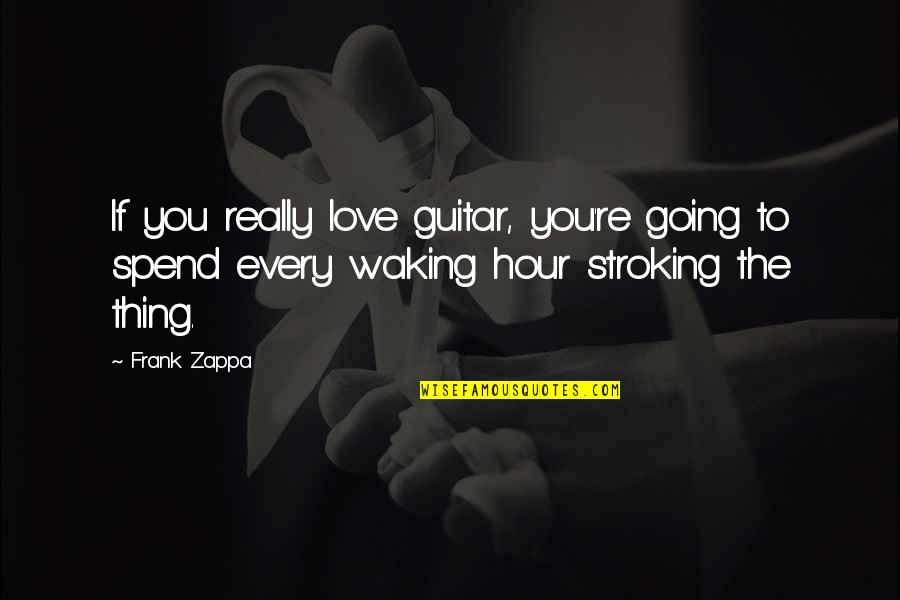 Being Less Critical Quotes By Frank Zappa: If you really love guitar, you're going to