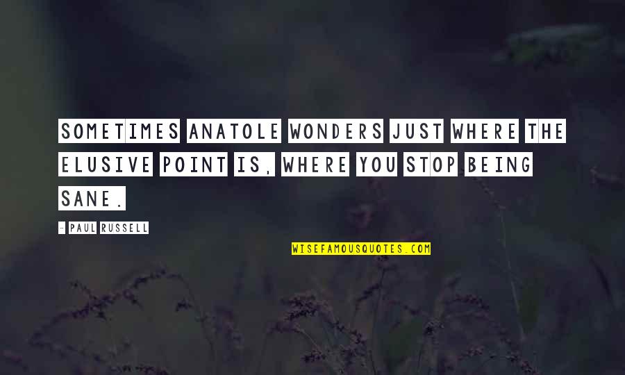 Being Let Down Quotes By Paul Russell: Sometimes Anatole wonders just where the elusive point