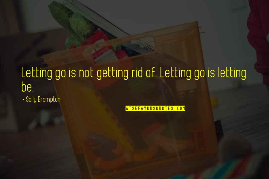 Being Letting Go Quotes By Sally Brampton: Letting go is not getting rid of. Letting