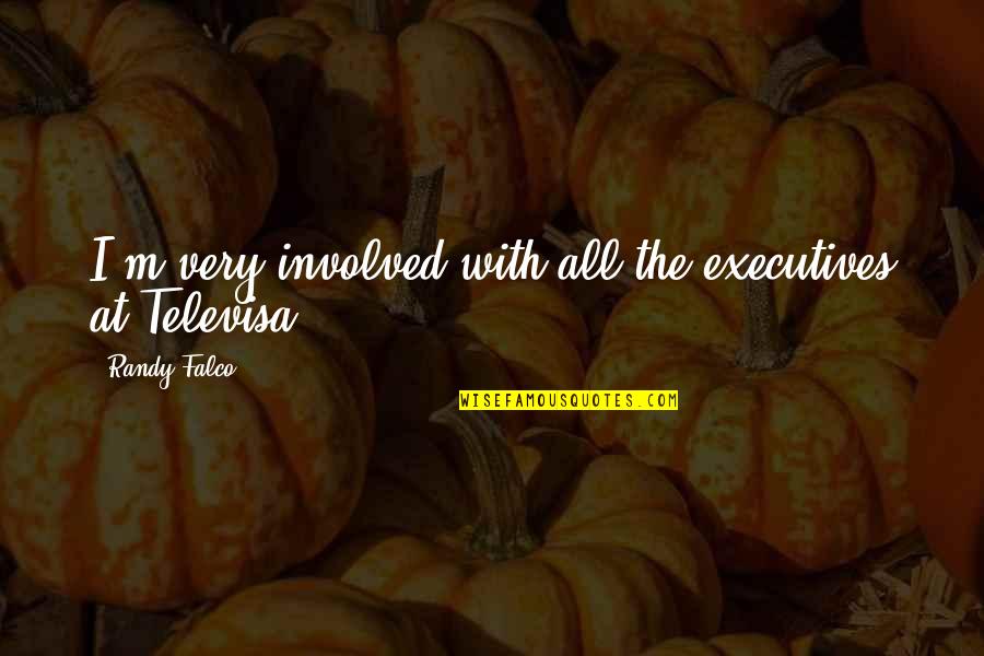 Being Like The Moon Quotes By Randy Falco: I'm very involved with all the executives at