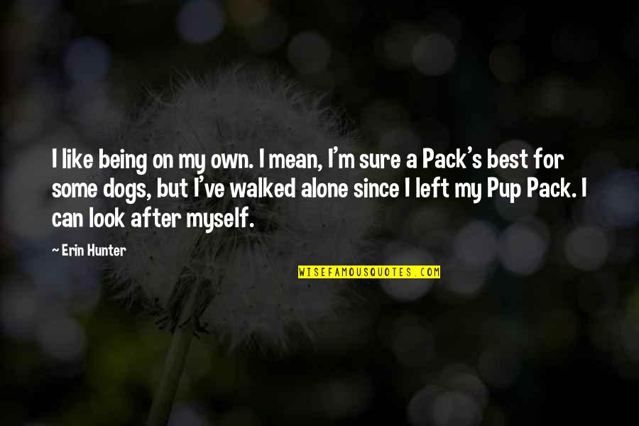 Being Lucky Quotes By Erin Hunter: I like being on my own. I mean, Being Lucky Quotes By Erin Hunter: I like being on my own. I mean,