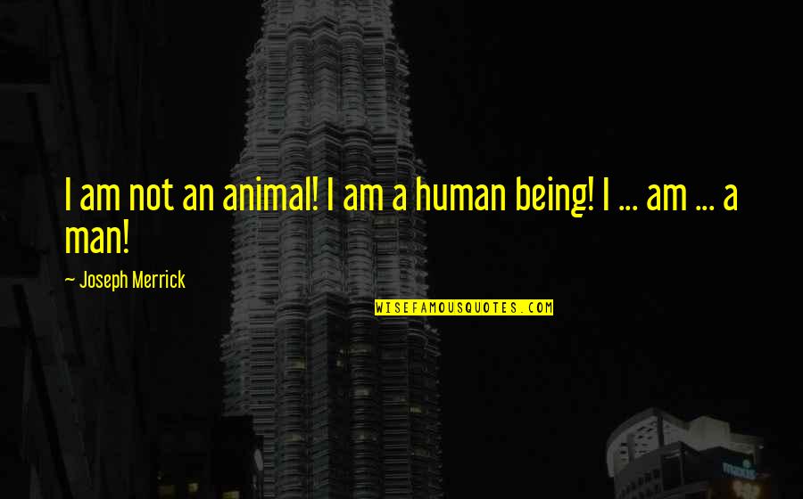 Being Man Quotes By Joseph Merrick: I am not an animal! I am a