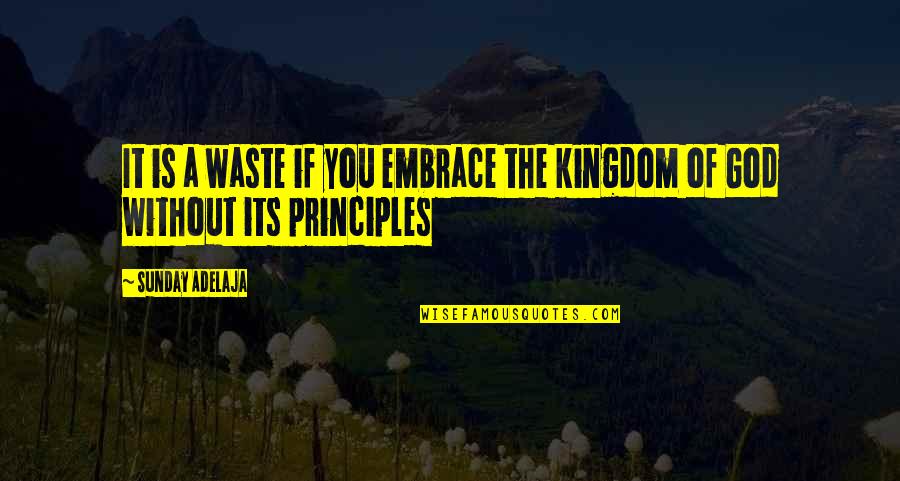 Being Marooned Quotes By Sunday Adelaja: It is a waste if you embrace the