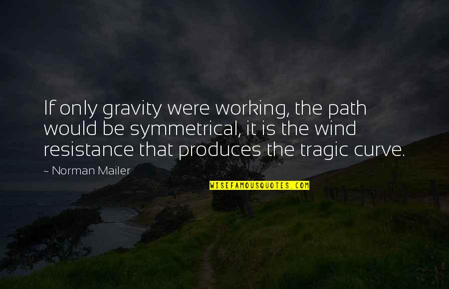 Being Married 20 Years Quotes By Norman Mailer: If only gravity were working, the path would