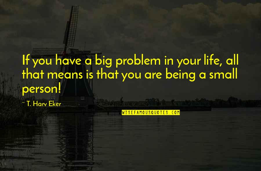 Being Mean Quotes By T. Harv Eker: If you have a big problem in your Being Mean Quotes By T. Harv Eker: If you have a big problem in your