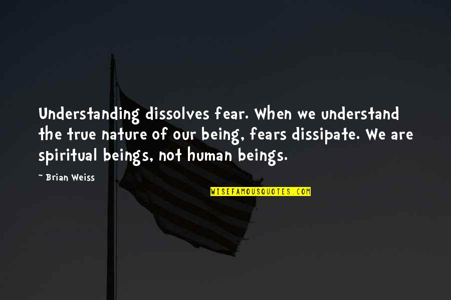 Being More Understanding Quotes By Brian Weiss: Understanding dissolves fear. When we understand the true
