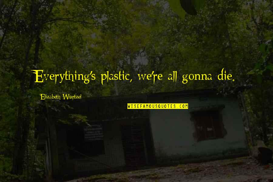 Being Not Appreciated Quotes By Elizabeth Wurtzel: Everything's plastic, we're all gonna die.