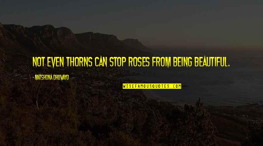 Being Not Beautiful Quotes By Matshona Dhliwayo: Not even thorns can stop roses from being