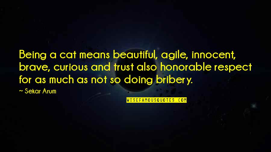 Being Not Beautiful Quotes By Sekar Arum: Being a cat means beautiful, agile, innocent, brave,