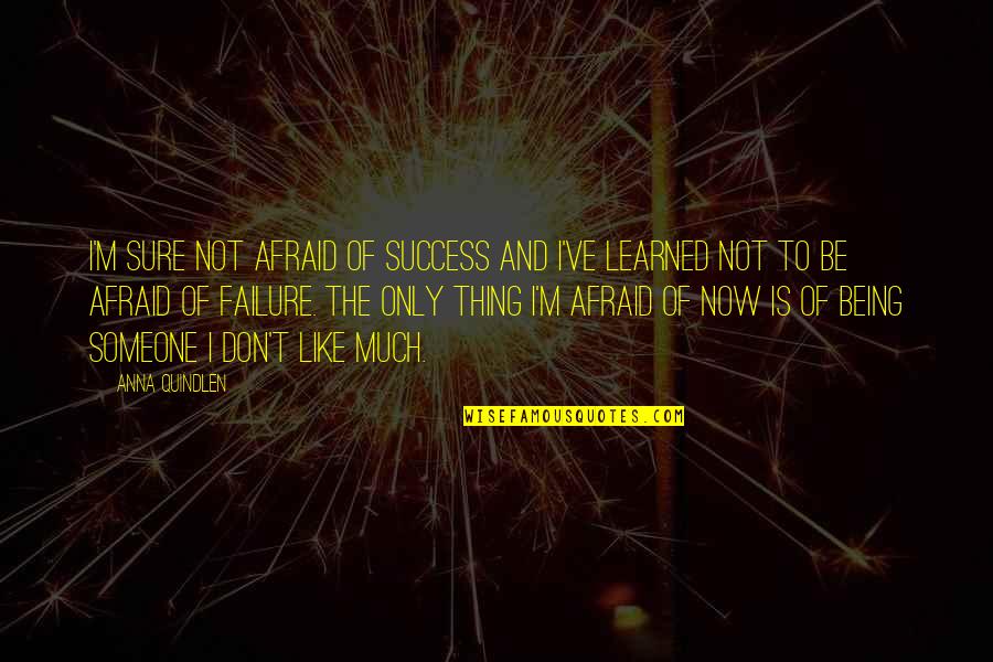 Being Not Sure Quotes By Anna Quindlen: I'm sure not afraid of success and I've