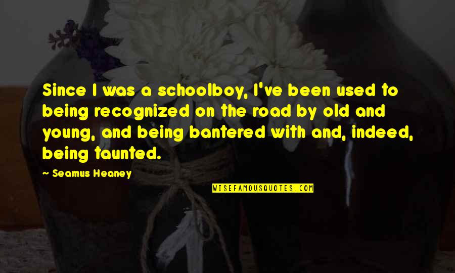 Being Old And Young Quotes By Seamus Heaney: Since I was a schoolboy, I've been used Being Old And Young Quotes By Seamus Heaney: Since I was a schoolboy, I've been used