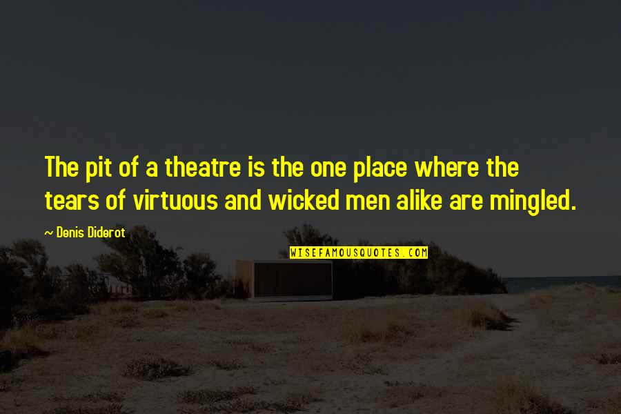 Being Old School Quotes By Denis Diderot: The pit of a theatre is the one