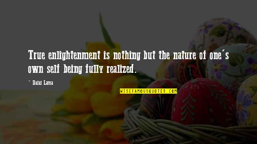 Being One With Nature Quotes By Dalai Lama: True enlightenment is nothing but the nature of