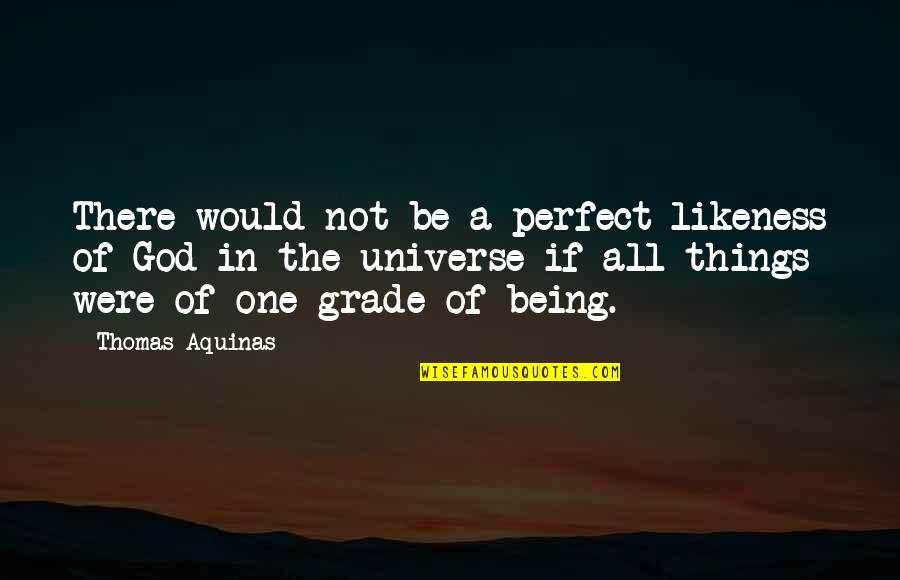 Being One With The Universe Quotes By Thomas Aquinas: There would not be a perfect likeness of