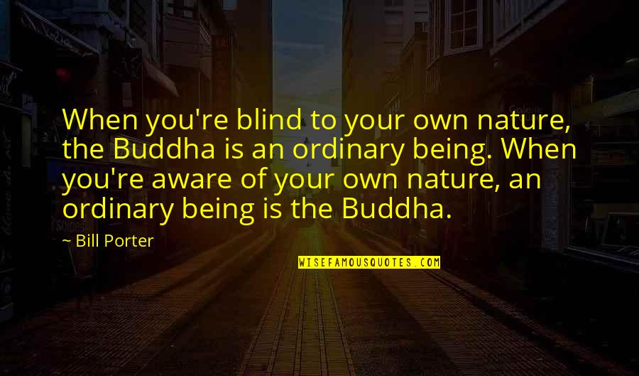 Being Ordinary Quotes By Bill Porter: When you're blind to your own nature, the