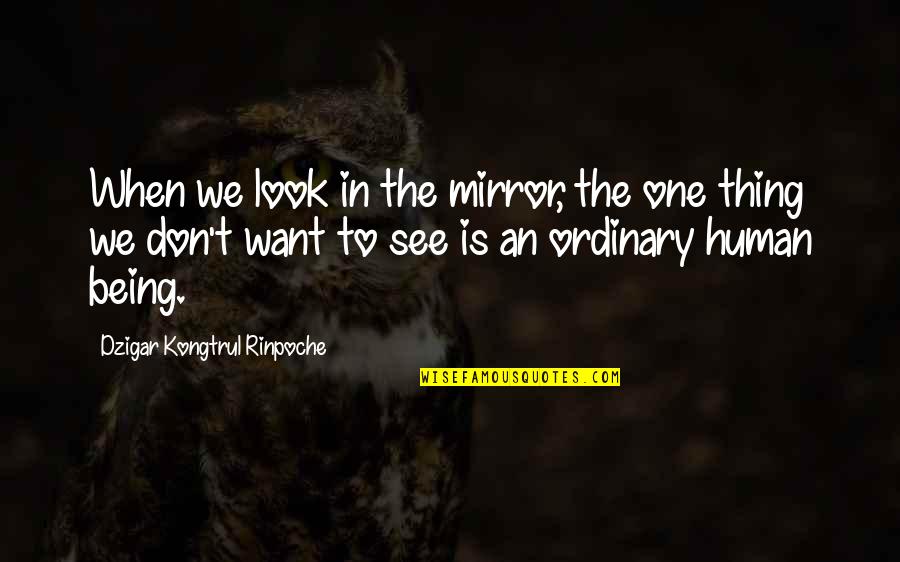 Being Ordinary Quotes By Dzigar Kongtrul Rinpoche: When we look in the mirror, the one