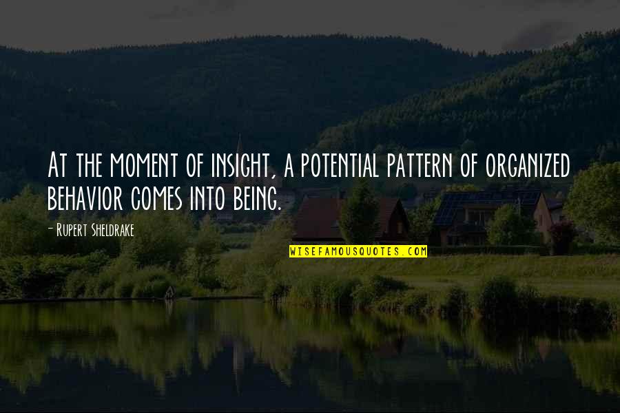 Being Organized Quotes By Rupert Sheldrake: At the moment of insight, a potential pattern Being Organized Quotes By Rupert Sheldrake: At the moment of insight, a potential pattern