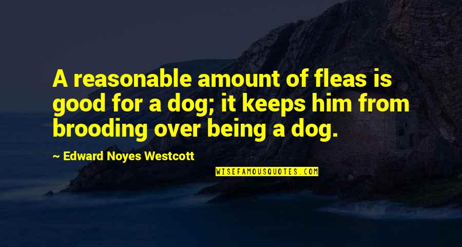 Being Over Him Quotes By Edward Noyes Westcott: A reasonable amount of fleas is good for