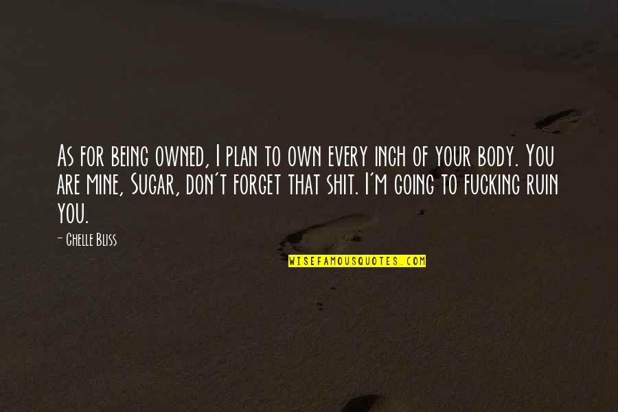 Being Owned Quotes By Chelle Bliss: As for being owned, I plan to own