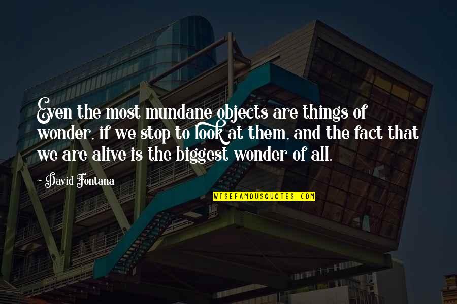 Being Part Of The Solution Quotes By David Fontana: Even the most mundane objects are things of