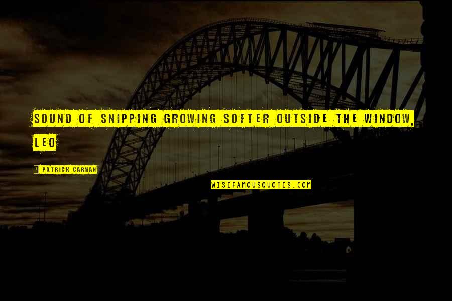 Being Patient And Understanding Quotes By Patrick Carman: Sound of snipping growing softer outside the window,