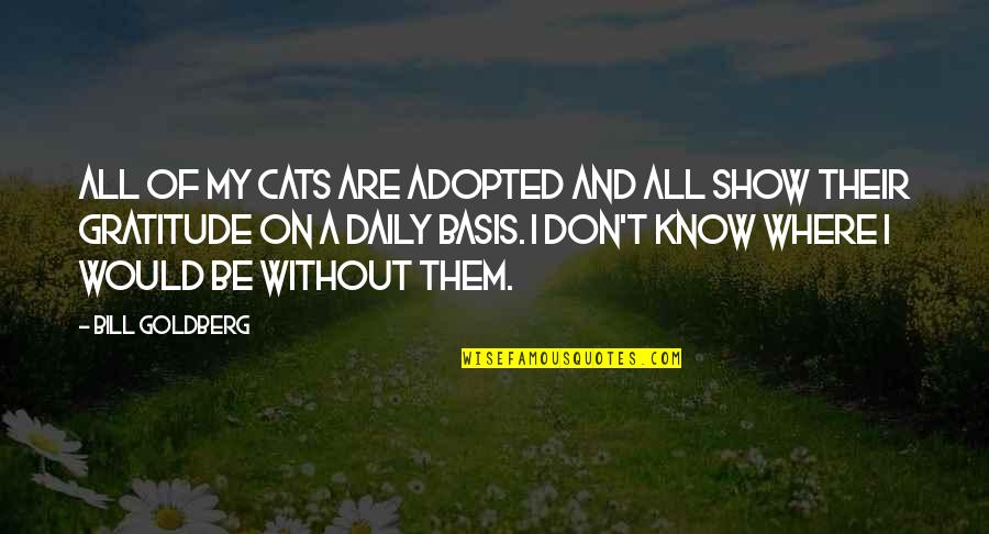 Being Pedantic Quotes By Bill Goldberg: All of my cats are adopted and all