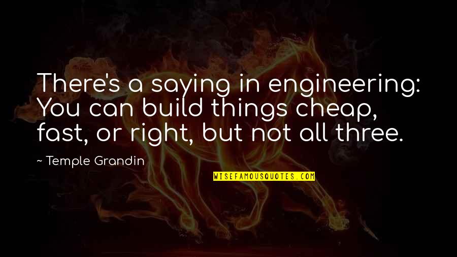 Being Poetic Quotes By Temple Grandin: There's a saying in engineering: You can build