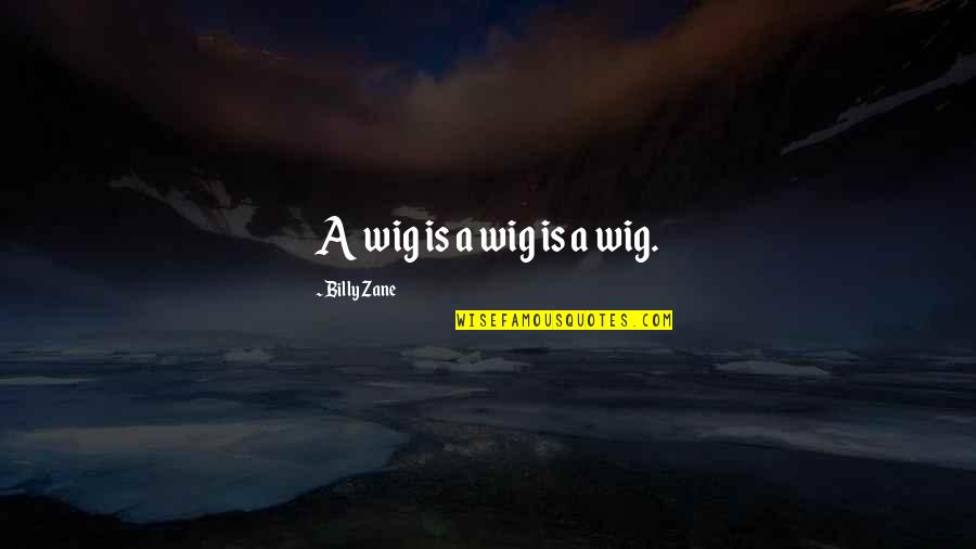 Being Prepared For Success Quotes By Billy Zane: A wig is a wig is a wig.