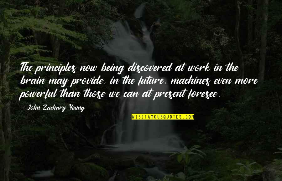 Being Present At Work Quotes By John Zachary Young: The principles now being discovered at work in