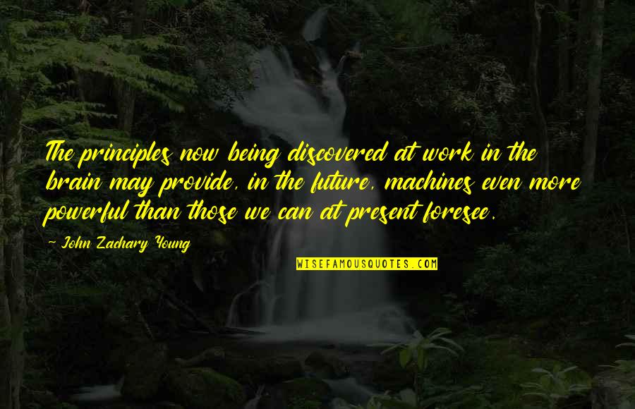 Being Present Quotes By John Zachary Young: The principles now being discovered at work in