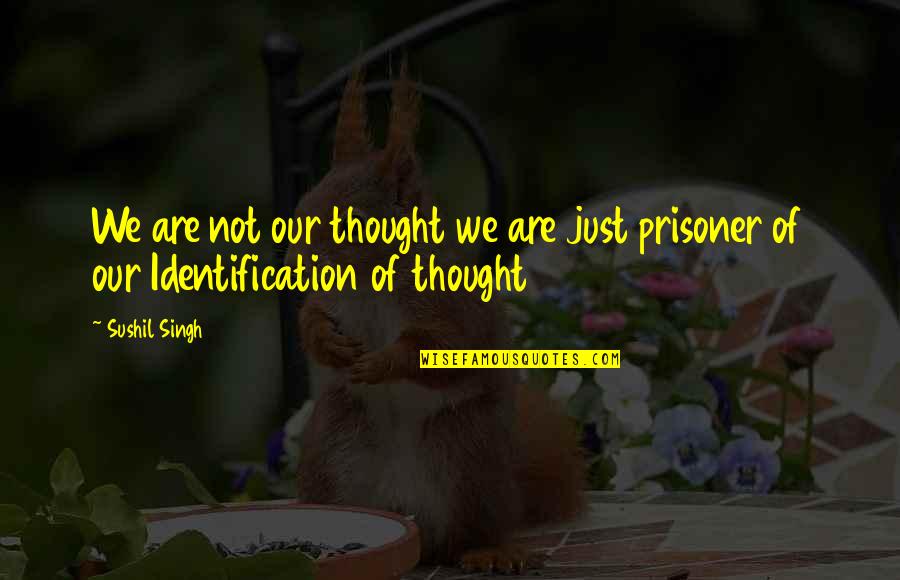 Being Prisoner Quotes By Sushil Singh: We are not our thought we are just