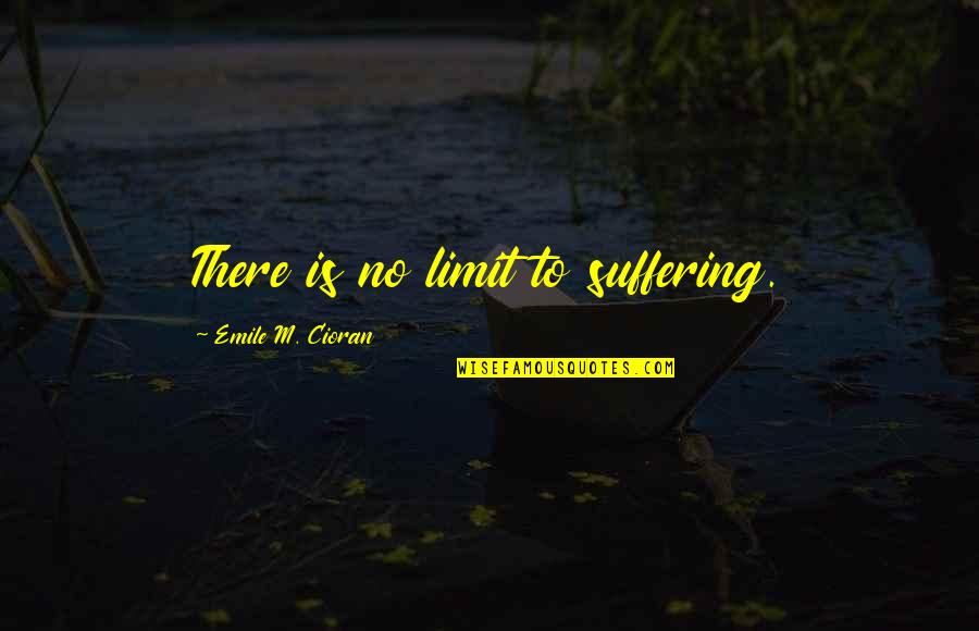 Being Provided For Quotes By Emile M. Cioran: There is no limit to suffering.