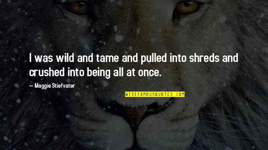 Being Pulled Quotes By Maggie Stiefvater: I was wild and tame and pulled into