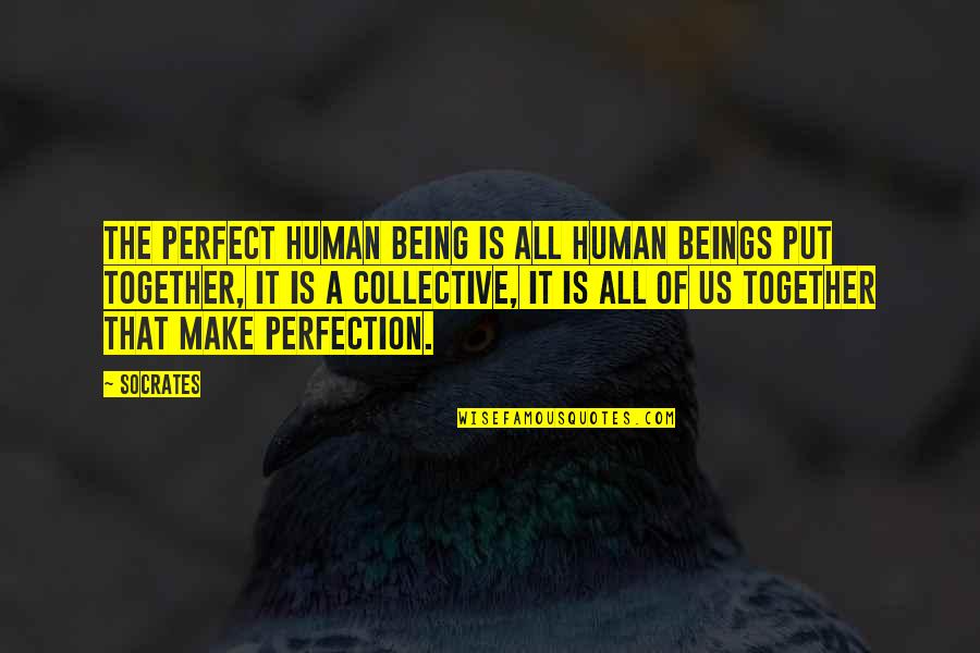 Being Put Together Quotes By Socrates: The perfect human being is all human beings