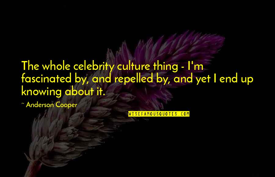Being Quick To Judge Others Quotes By Anderson Cooper: The whole celebrity culture thing - I'm fascinated