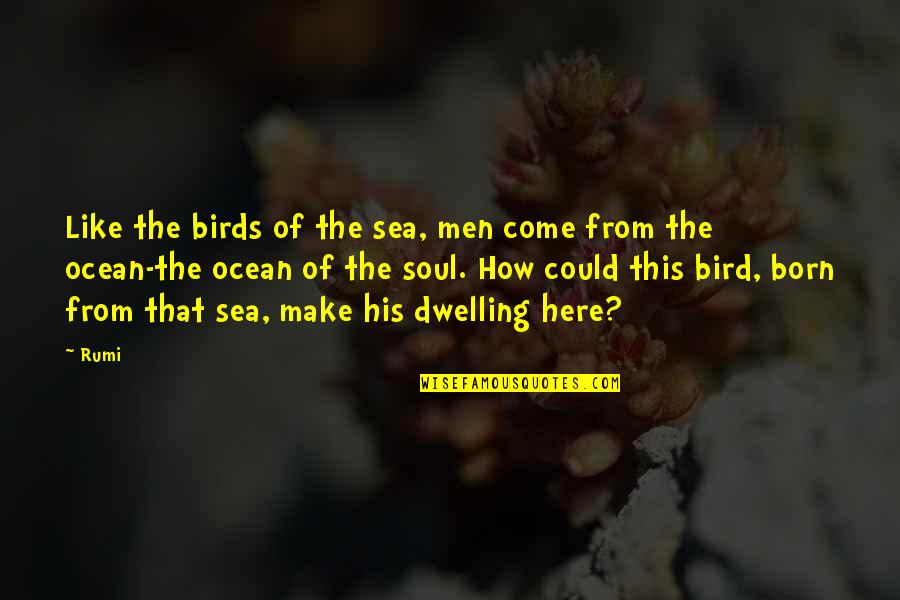 Being Quiet And Shy Quotes By Rumi: Like the birds of the sea, men come