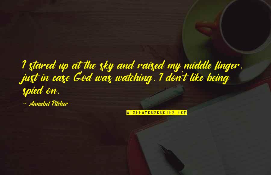 Being Raised Quotes By Annabel Pitcher: I stared up at the sky and raised