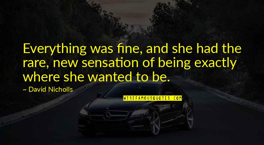 Being Rare Quotes By David Nicholls: Everything was fine, and she had the rare,