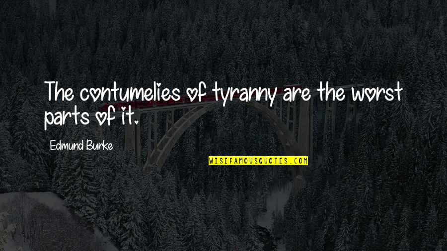Being Reached Quotes By Edmund Burke: The contumelies of tyranny are the worst parts