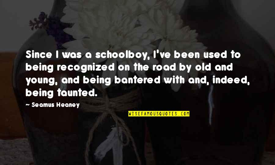 Being Recognized Quotes By Seamus Heaney: Since I was a schoolboy, I've been used