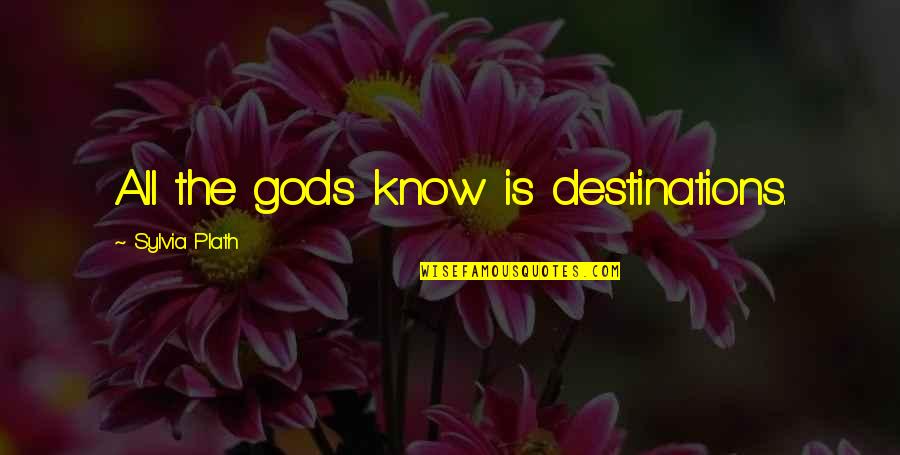 Being Replaced At Work Quotes By Sylvia Plath: All the gods know is destinations.